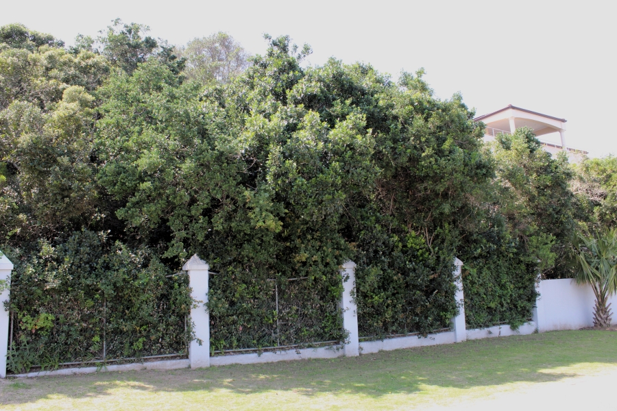0 Bedroom Property for Sale in East Bank Eastern Cape